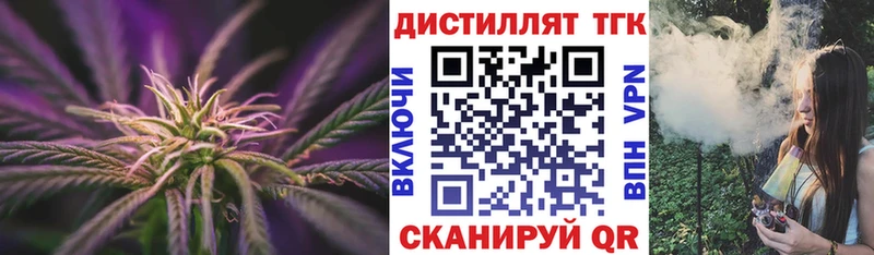 Купить где  Луза  ТГК концентрат 
