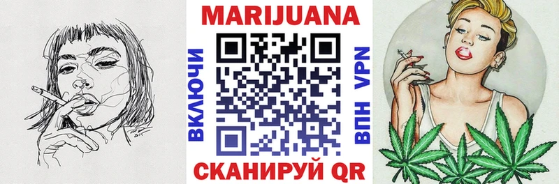 Канабис планчик Луза